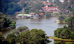 TRIVANDRUM KODAIKANAL RTP PACKAGE